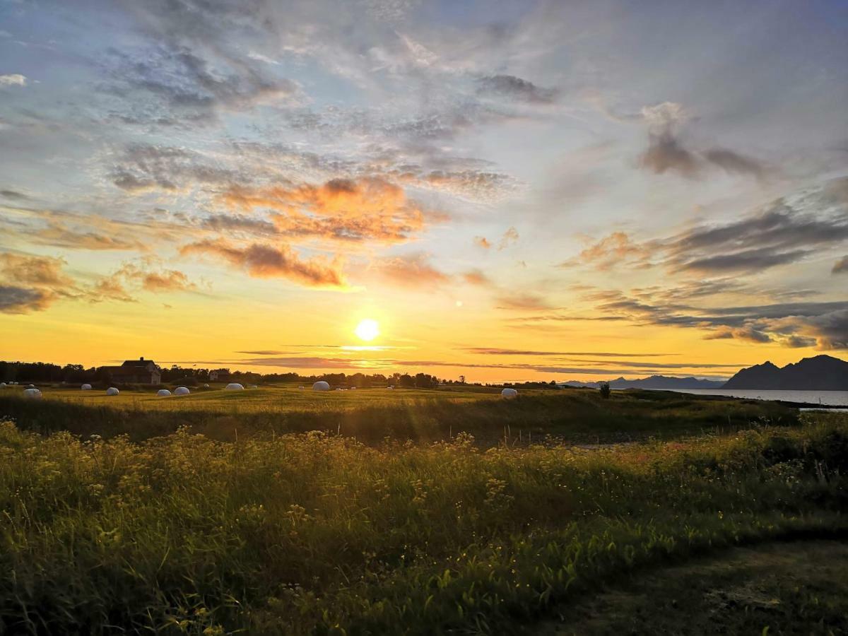 Midnattsolveien 3158,Sommarhusstrand Laukvik Lofoten Norway Villa Ngoại thất bức ảnh